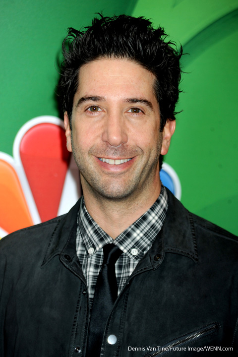 davidschwimmer