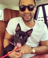 PHOTOS John Legend and Chrissy Teigen adopted a three-legged puppy