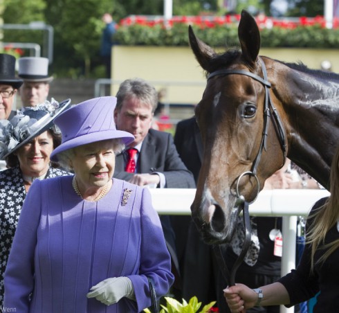 Queen Elizabeth's racehorse, Estimate, tested positive for banned substance