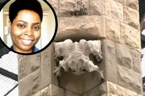 Falling Gargoyle Chicago - Sarah Bean