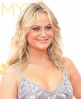 Amy Poehler talks about using hard drugs, getting divorced from Will Arnett