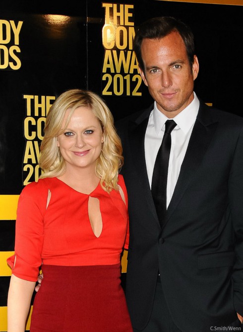 Amy Poehler and Will Arnett Divorce