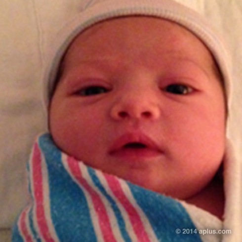 Wyatt Isabelle