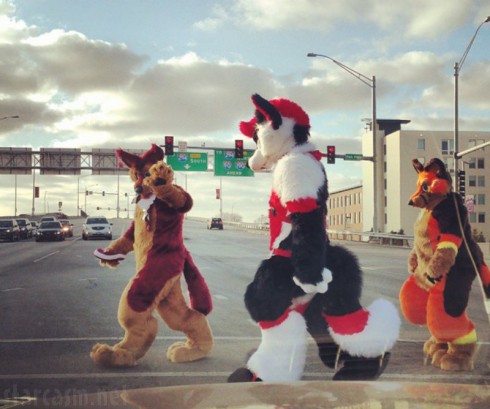 Midwest FurFest Chicago 2014