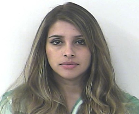 MUG SHOT Florida woman arrested for driving with son on the hood of her car