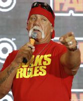 UPDATE Hulk Hogan fired from WWE over leaked video of him saying daughter Brooke Hogan is ‘f*cking n*ggers’