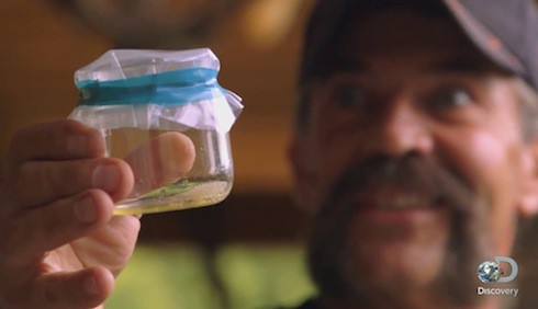 How much is snake venom worth 4