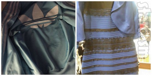 The Jacket vs The Dress
