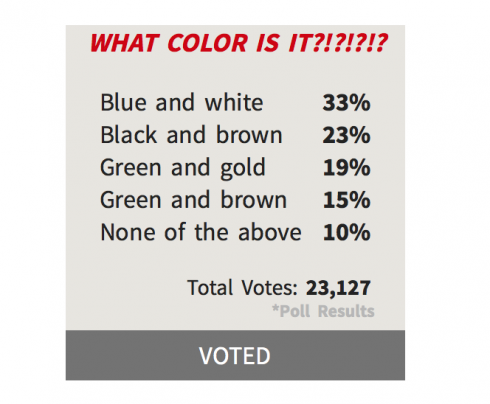 What color is the jacket poll