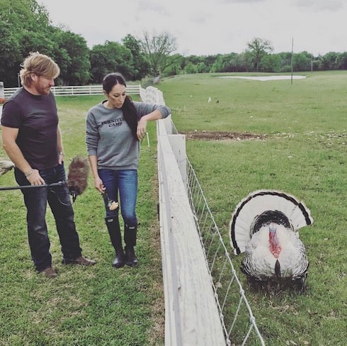 PHOTOS Fixer Upper Season 5 update: Reveal spoilers, Chip’s new look, possible guest stars, and an air date