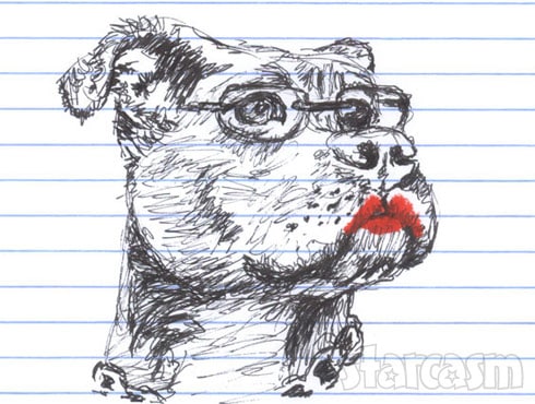 Sarah Palin pit bull with lipstick