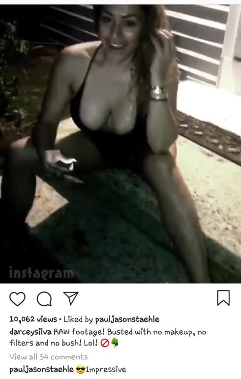 Darcey Silva Instagram video Paul Staehle comment
