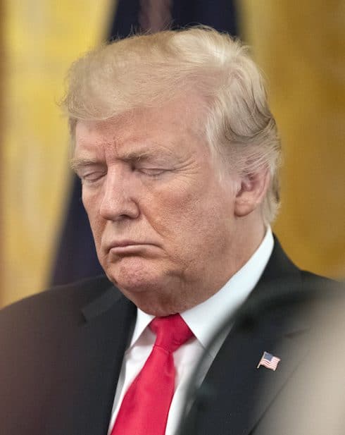 Donald Trump's words 1