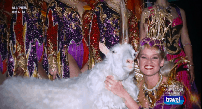 Do unicorns really exist? The story of Lancelot, the Ringling Bros.’ Live Unicorn