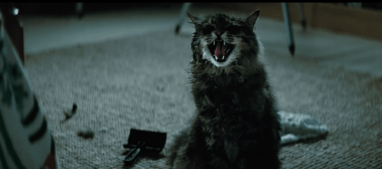 Stephen King’s ‘Pet Sematary’ is based on a true story