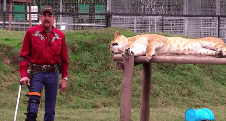 Why does Joe Exotic wear a knee brace? How did Joe Exotic injure his leg?