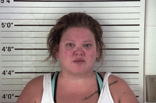 Woman Who Appeared On MTVs '16 and Pregnant' Arrested On Child Porn Charges - The Demon's Den