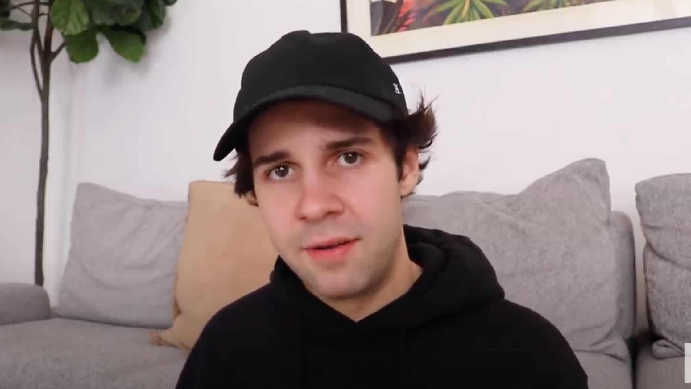 Did David Dobrik Lie In His Second Apology Video? * Starcasm.net