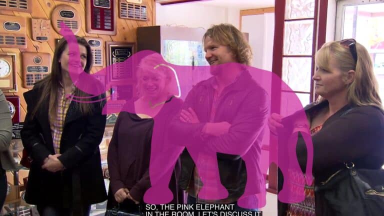 SISTER WIVES Origin of Kody Brown’s ‘Pink Elephant in the Room’ phrase