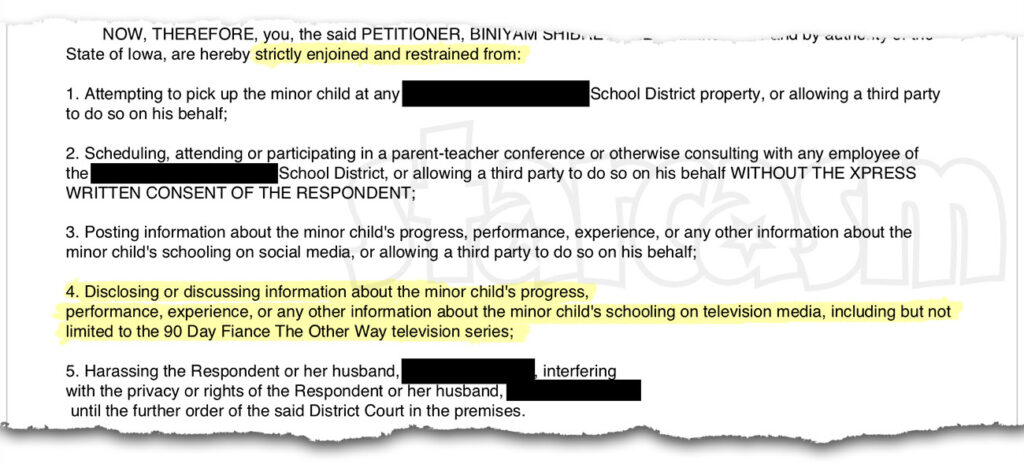 90 Day Fiance Biniyam custody document excerpt