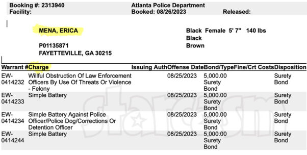 Erica Mena criminal charges