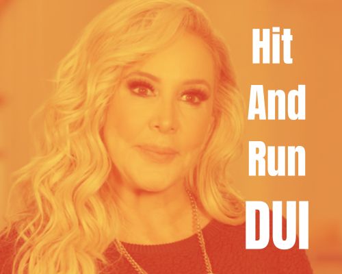 Shannon Beador's DUI hit and run mugshot