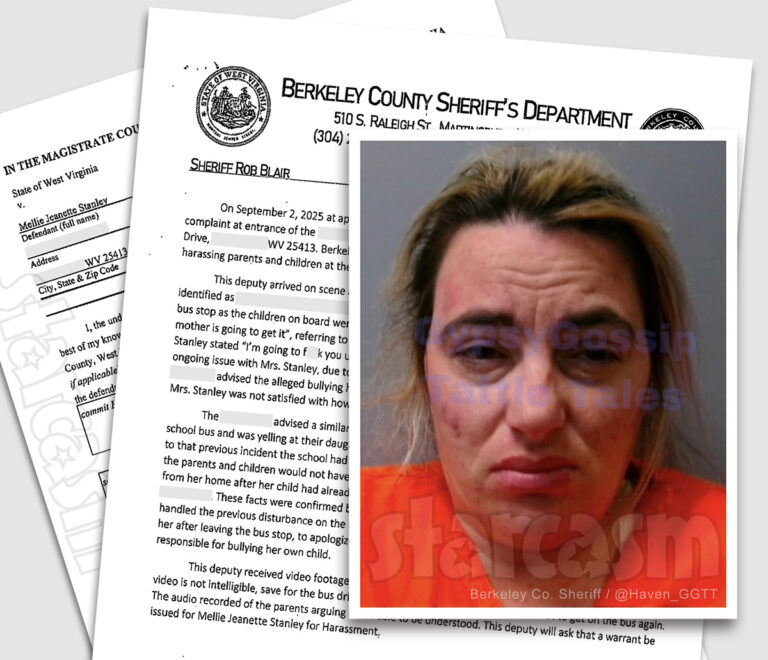 Mellie Stanley 2025 arrest details