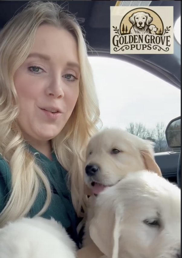 Screenshot 2026-02-19 at 1.13.43 PM