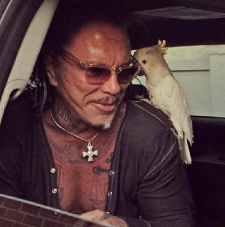 Mickey Rourke Evicted After Refusing $100,000 in Fan Donations