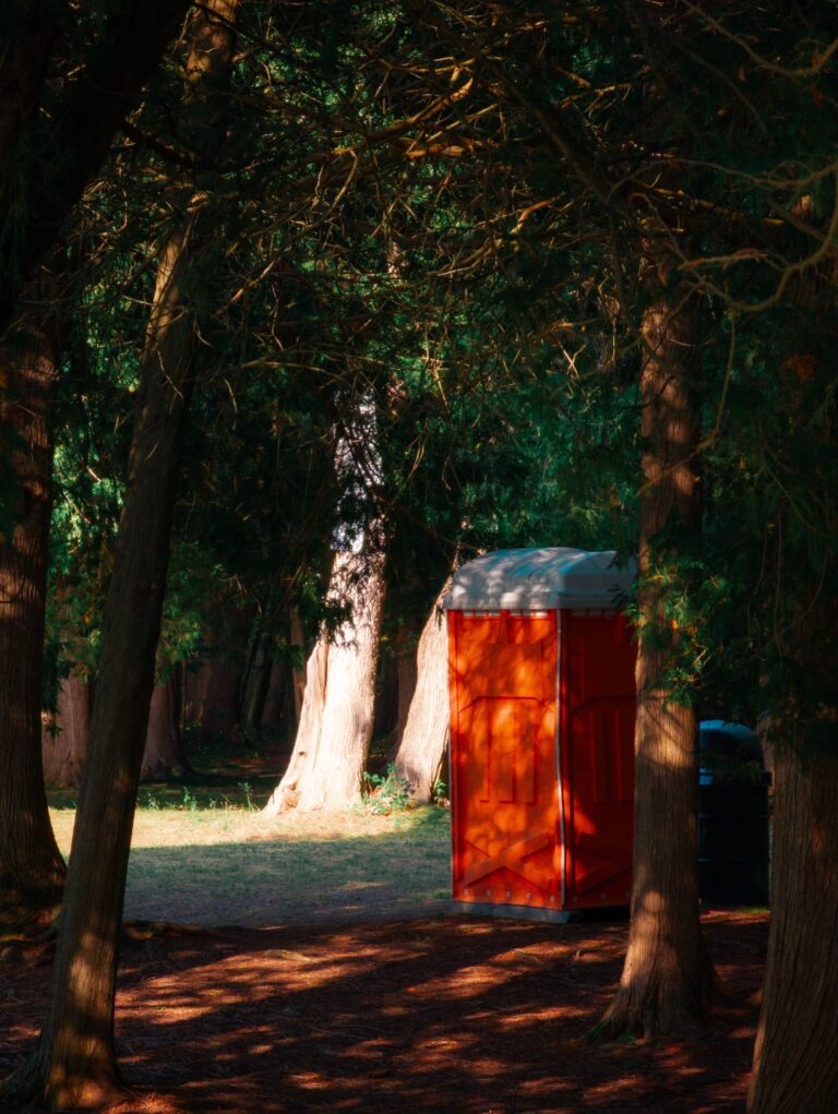 Newborn Found Dead in Porta-Potty at Electric Forest Festival